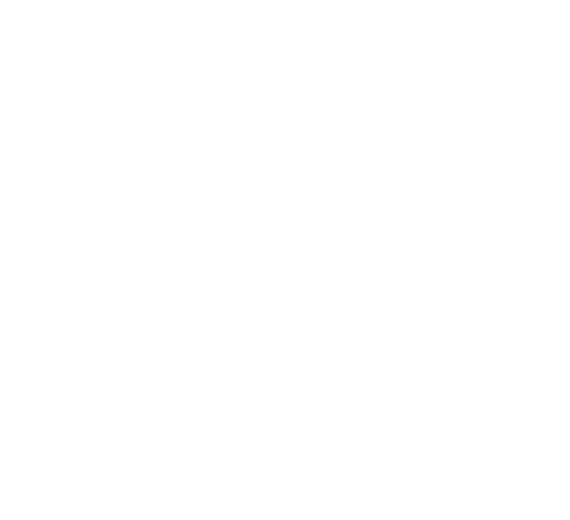 Logo Gesfer